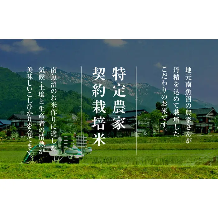 【令和7年産　頒布会】南魚沼産こしひかり（2kg×全3回）契約栽培 雪蔵貯蔵米