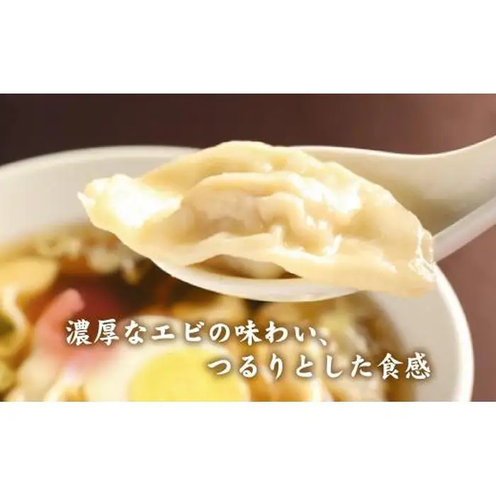 カリットギョウザ やまもりセット２種（96ケ）餃子 64 水餃子 32