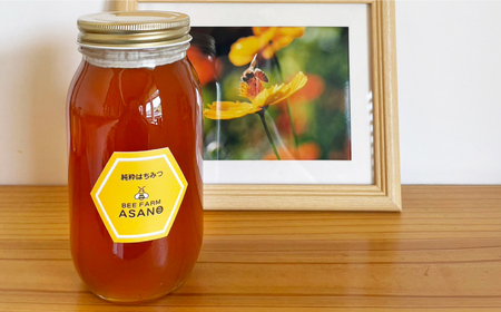純粋ハチミツ ソヨゴ 1,000g×1 瑞浪市 / honey shop Bee farm asano 蜂蜜 はちみつ [AZBT012]