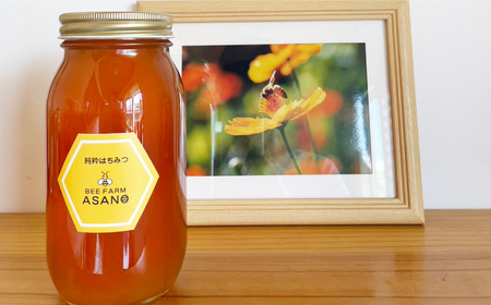 純粋ハチミツ 野山の花 1,000g×1 瑞浪市 / honey shop Bee farm asano 蜂蜜 はちみつ [AZBT006]