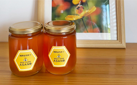純粋ハチミツ 野山の花 300g×2 瑞浪市 / honey shop Bee farm asano 蜂蜜 はちみつ [AZBT004]