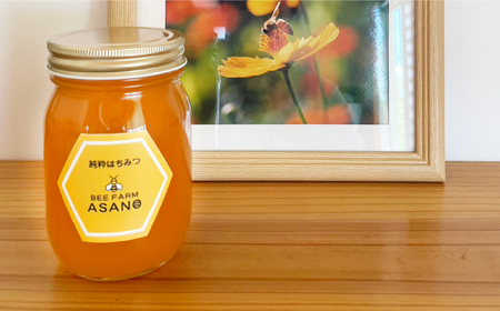 純粋ハチミツ アカシア 500g×1 瑞浪市 / honey shop Bee farm asano 蜂蜜 はちみつ [AZBT002]
