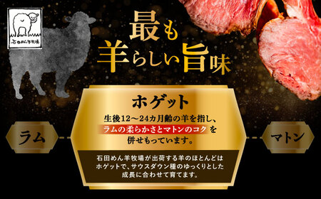 羊を食べ尽くす ホゲット半頭分《足寄町》【石田めん羊牧場】[BEAD011]