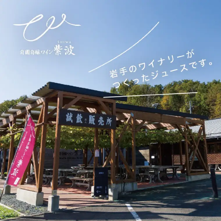 ワイン 辛口5本セット (AL035)