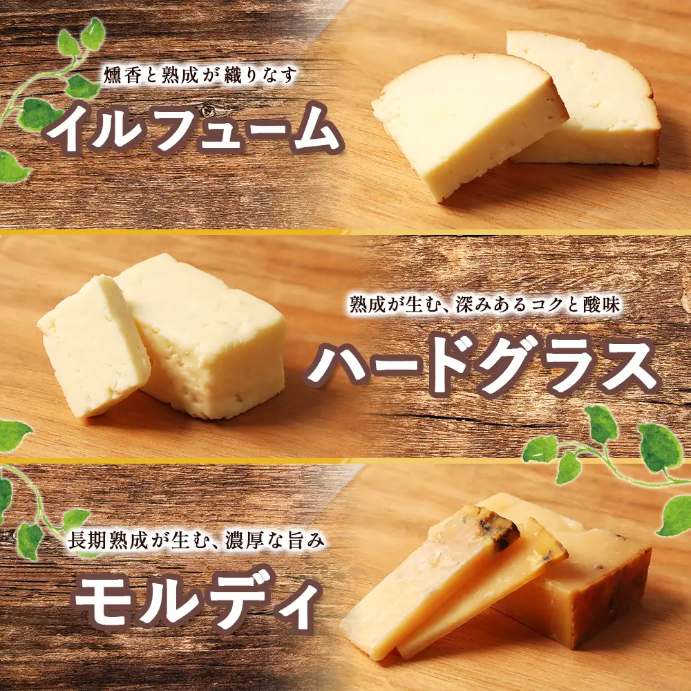 北海道雄武町産　チーズセット(スモークストリング70g　ミルクストリング70g×2　モッツァレラ90g　ハードグラス25g　イルフューム25g　モルディ25g)【0910101】