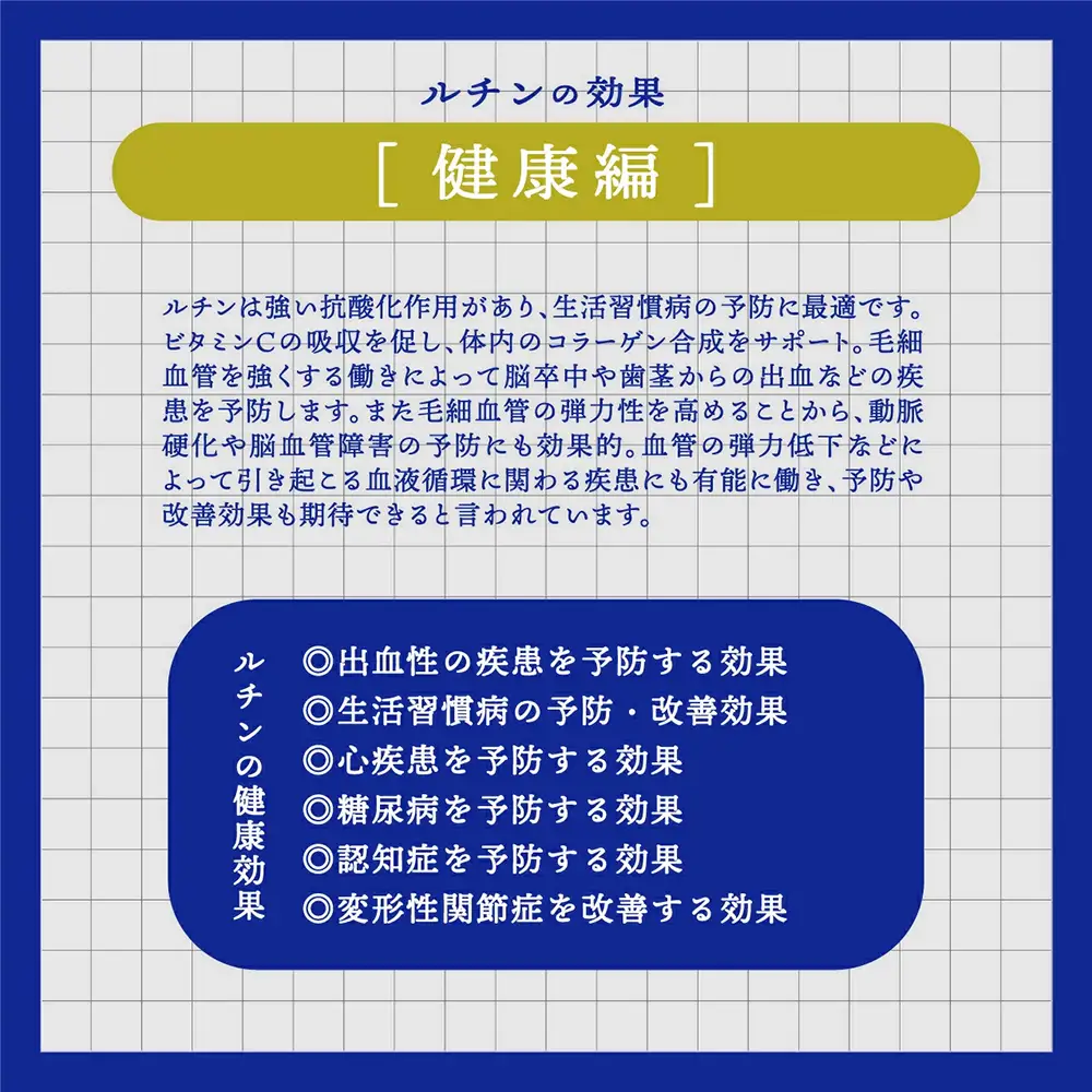 北海道雄武町産　韃靼そば焼酎「満天きらり」（720ml×2）【04105】