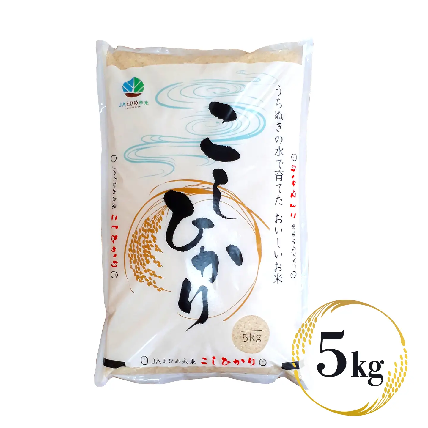 【新米】令和8年産 コシヒカリ 5kg 西条市産 新米