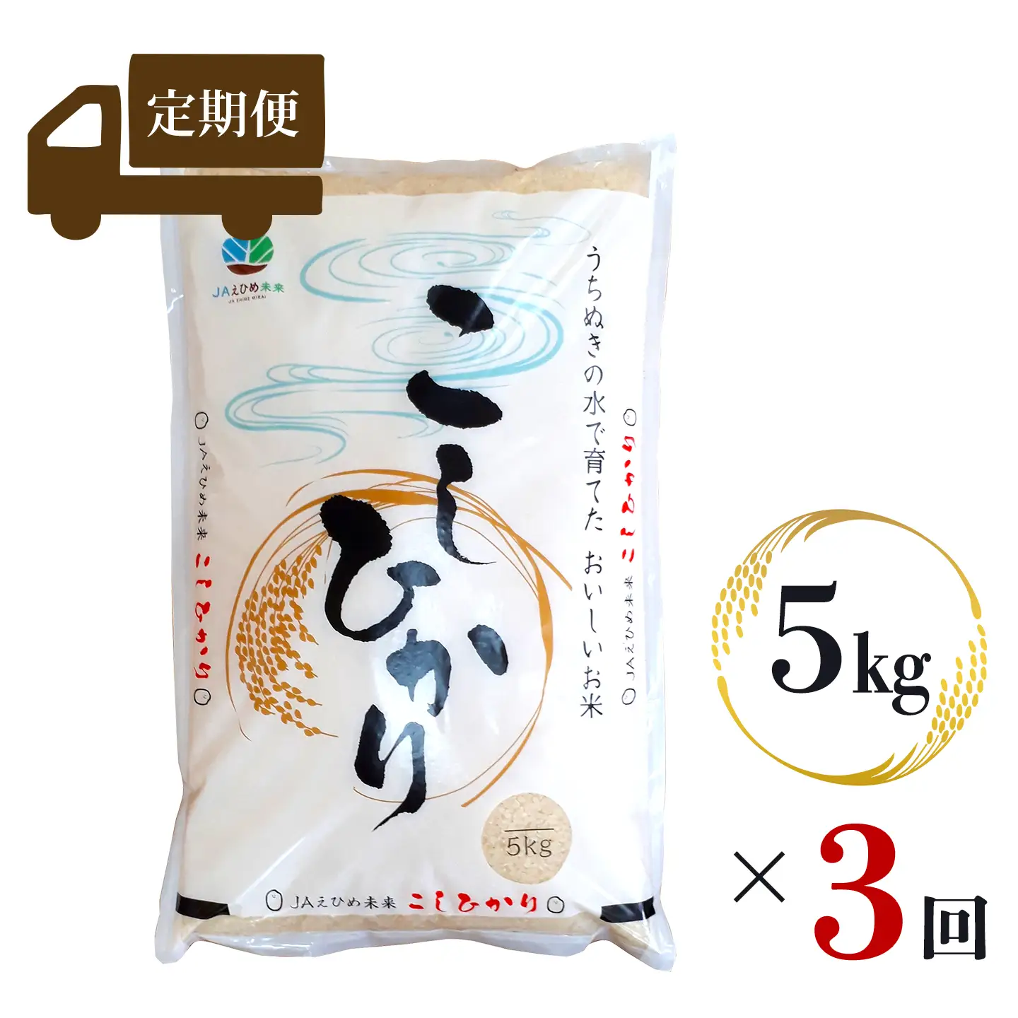 【新米】 【定期便3ヶ月】 令和8年産 コシヒカリ 5kg×3回 新米