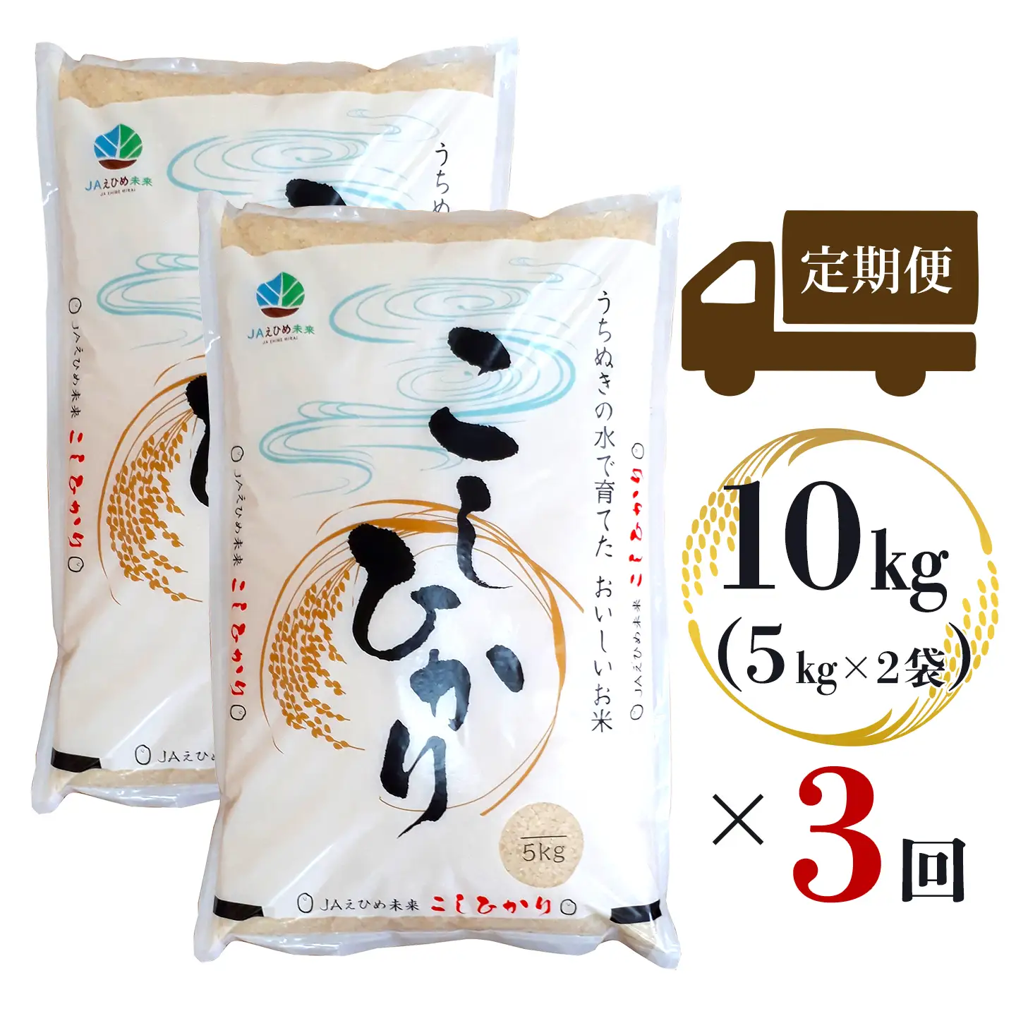 【新米】 【定期便3ヶ月】 令和8年産 コシヒカリ 10kg×3回 新米