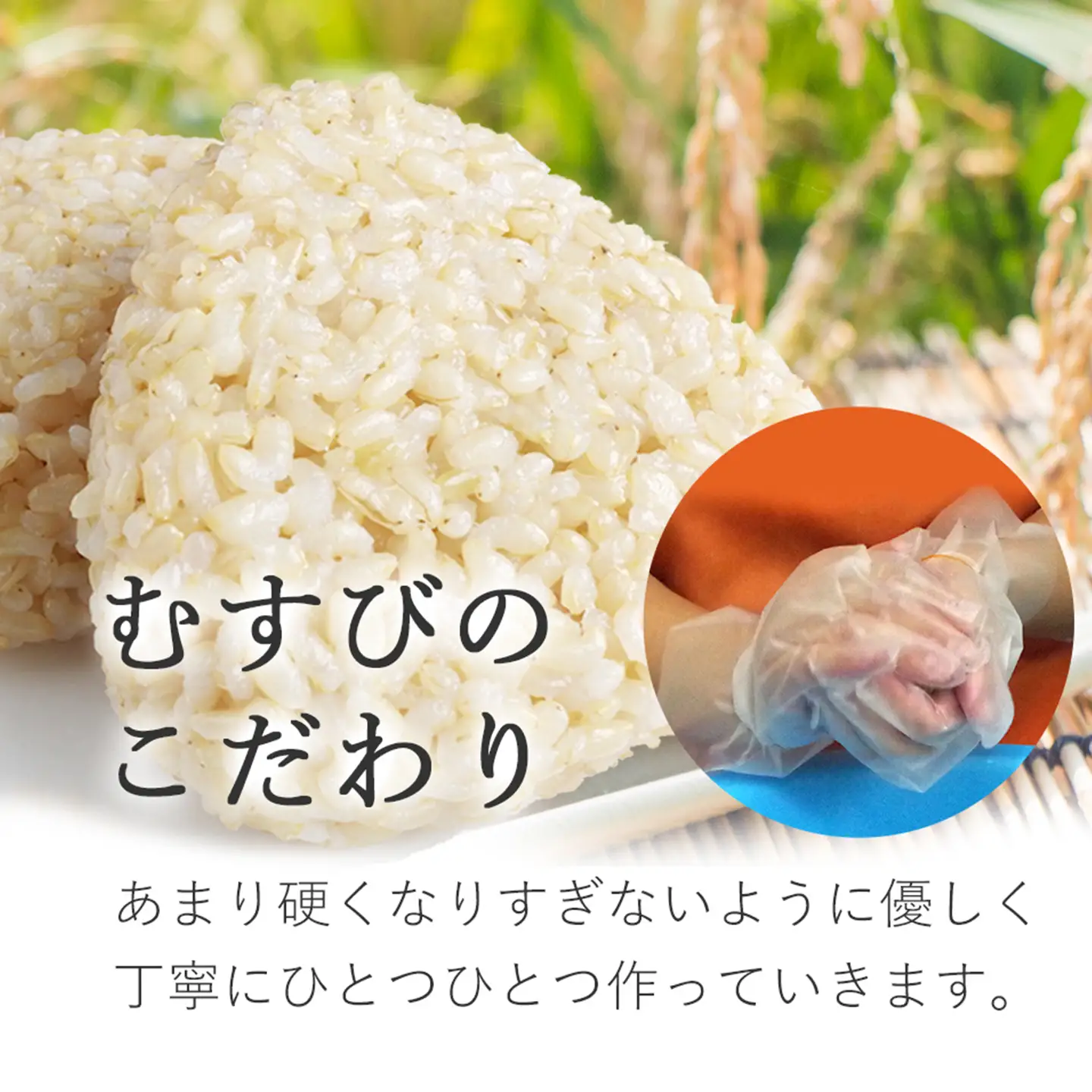 かんこめの玄米おむすび20個｜ おにぎり 冷凍 個包装