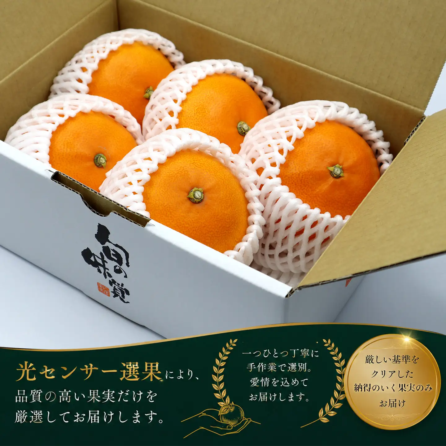 【せとか】【2月下旬から発送】 茨木農園の極上せとか（約1.6kg・5～6個）