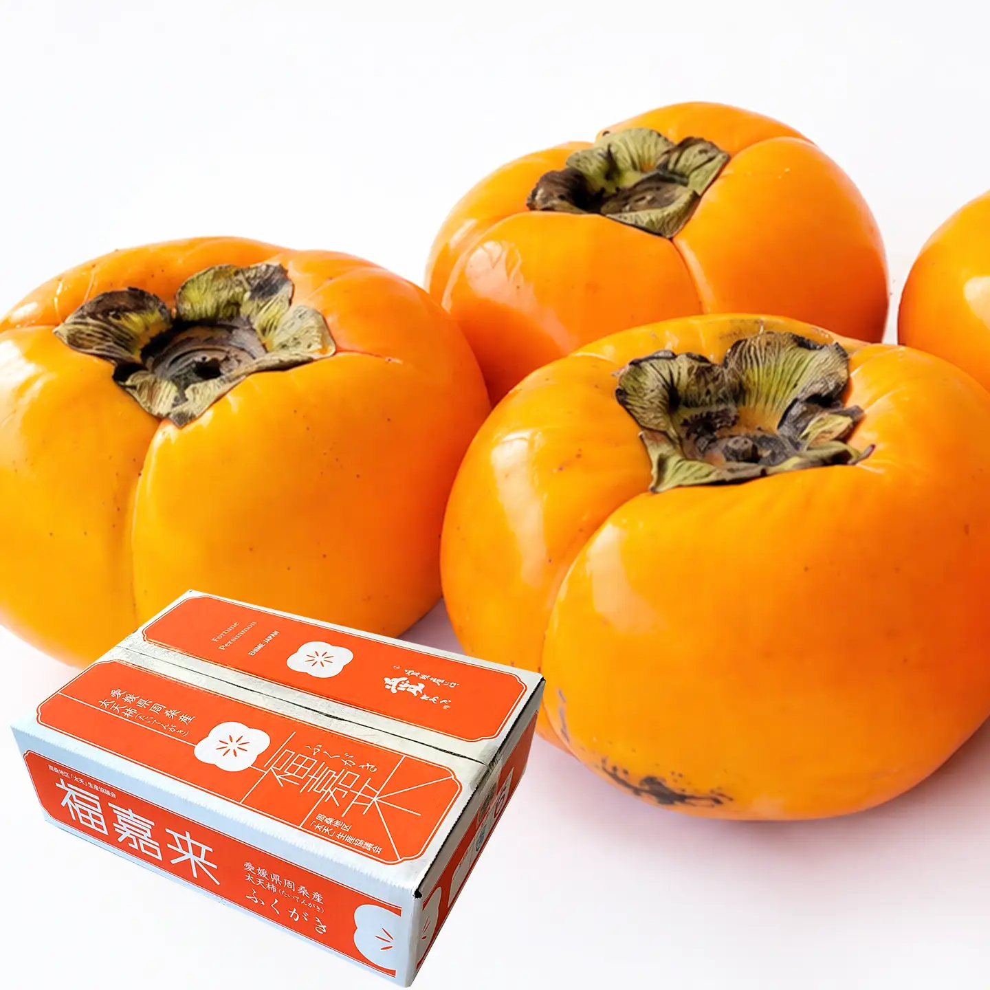【11月発送】太天柿（秀品）約３kg｜大玉柿