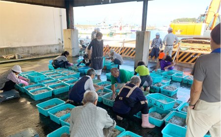 しらす 計630g 釜揚げシラス 210g 3パック 駿河湾 静浦 冷凍 小分け