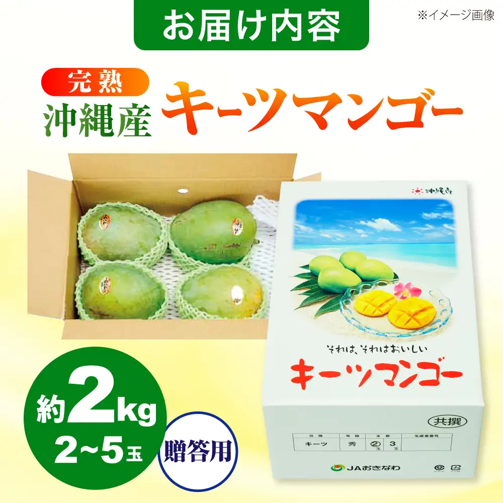 マンゴー 【2027年発送】 贈答用 キーツマンゴー 約2kg (2～5玉 / 化粧箱入り) マンゴー 沖縄 BCAA006