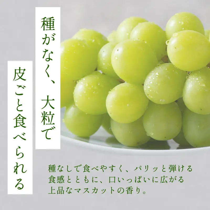 B-629 大粒大房シャインマスカット 1房（700g程度）