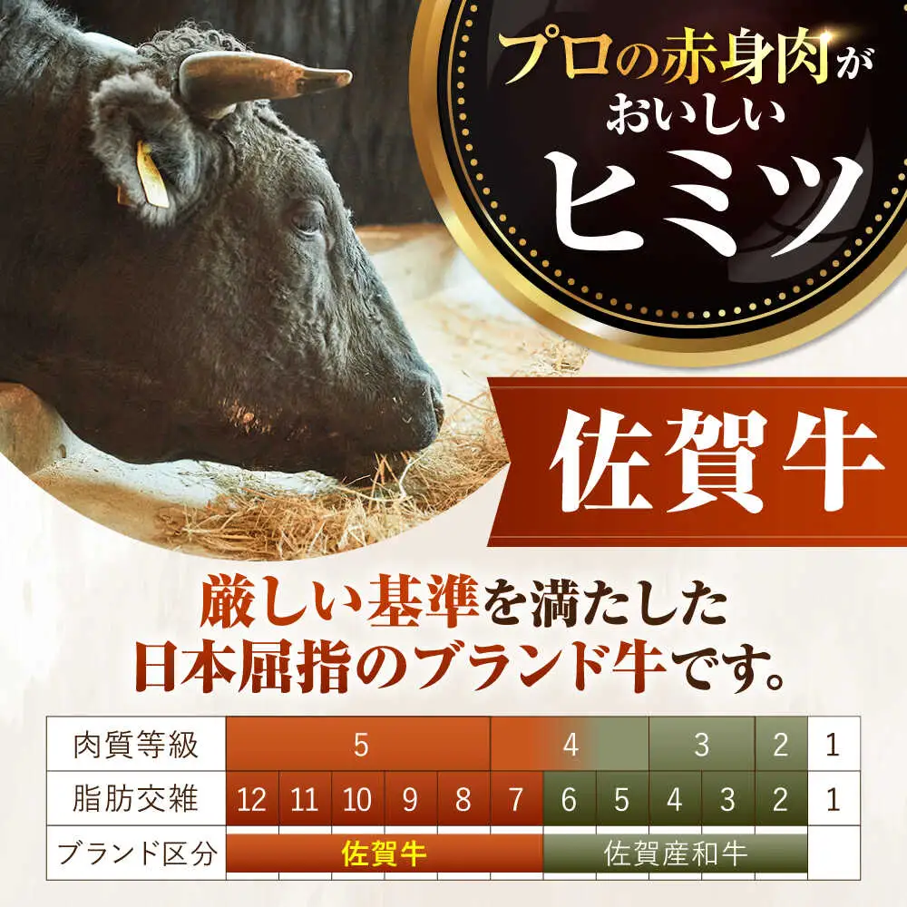【6回定期便】佐賀牛 手ごねハンバーグ 130g×4個 / ハンバーグ [IAH092]