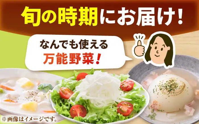 【先行予約 2027年3月～発送】新玉ねぎ 約5kg / 玉ねぎ [IAO009]