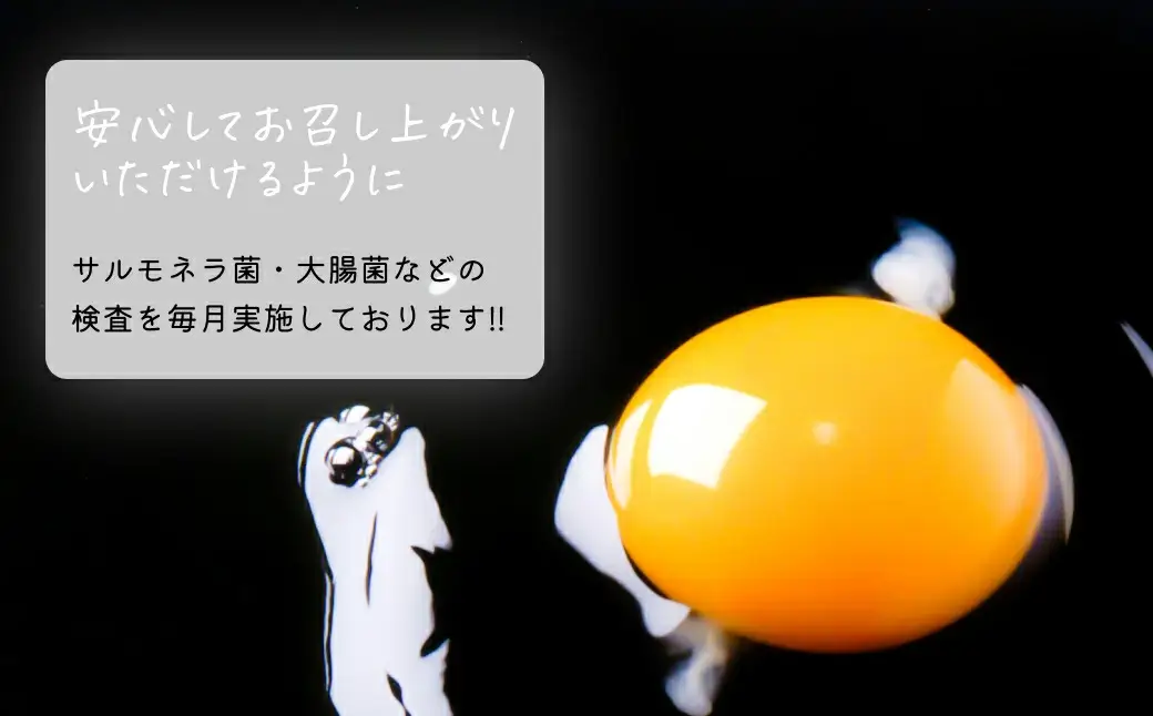 A04-751　太陽の下放し飼いわんぱく卵「10個入×3パック」