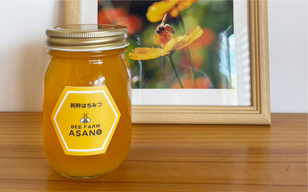 純粋ハチミツ 山桜 500g×1 瑞浪市 / honey shop Bee farm asano 蜂蜜 はちみつ [AZBT008]