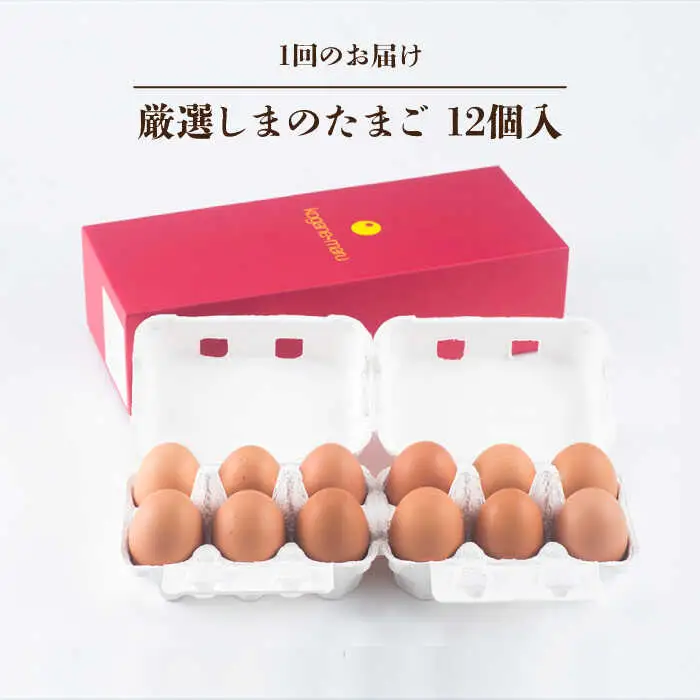 【 卵　定期便6回 】極上恋たまご 卵12個 [JAA005]