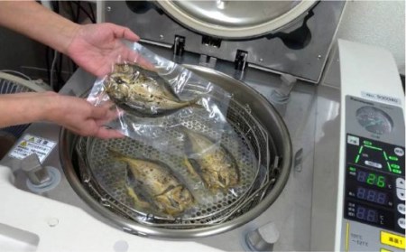 【全12回定期便】E 壱岐産 干物セット 家庭用 [JBD050] 干物 ひもの 定期便 レトルト