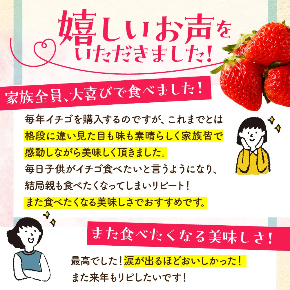 【先行予約】【2?4月発送】朝摘みいちご（いちごさん）500g（250g×2パック） [HAF021]くだもの 果物 フルーツ