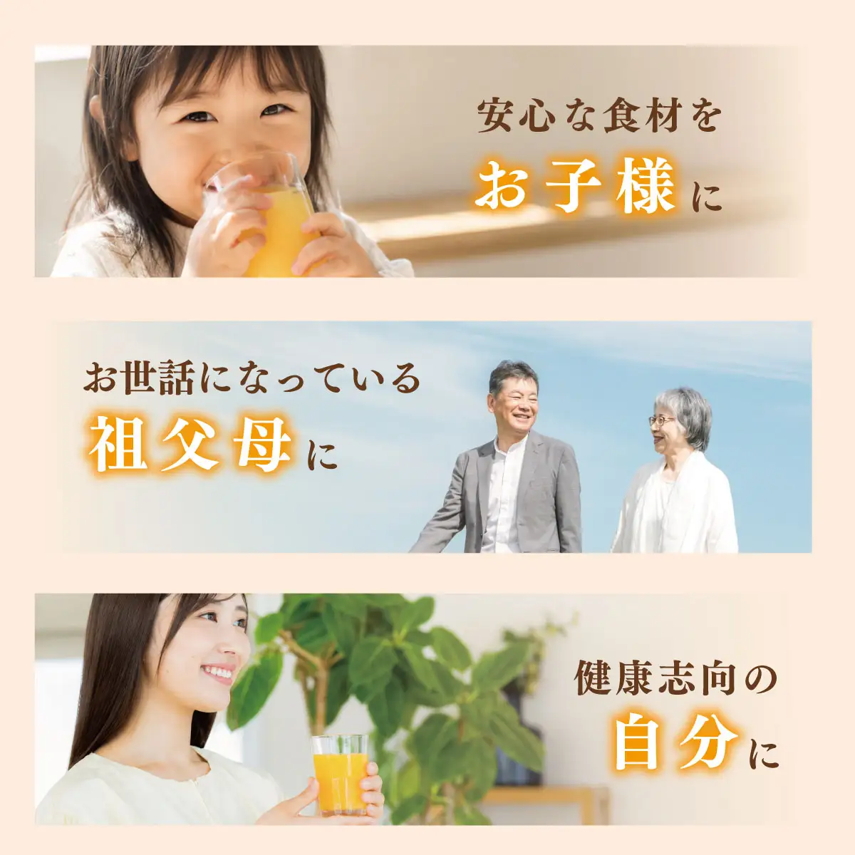 みかん たまみ・はれひめジュース　2本セット