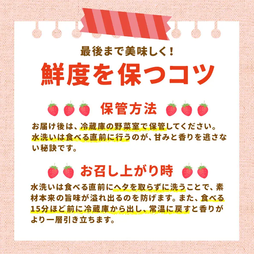 苺 いちご さつまおとめ 700g 北さつま農協《1月上旬-2月末頃出荷》