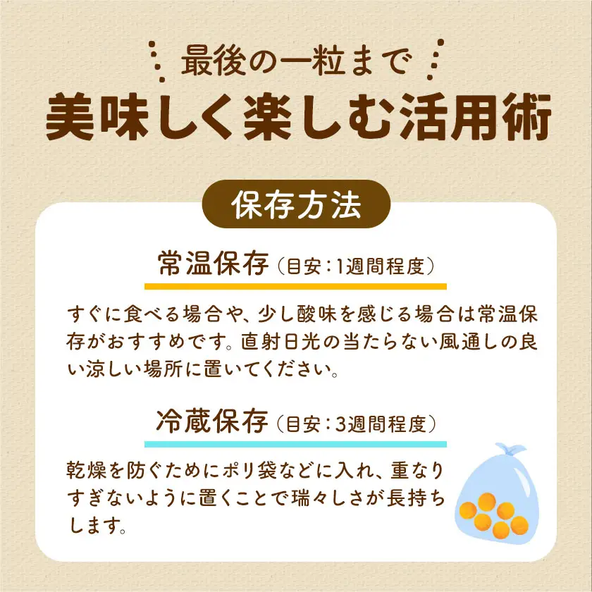 フルーツきんかん 2kg 北さつま農協《1月上旬-2月中旬頃出荷》