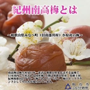 紀州南高梅 なごみの夢梅 1100g 家庭用（B級、C級）【0938-4】