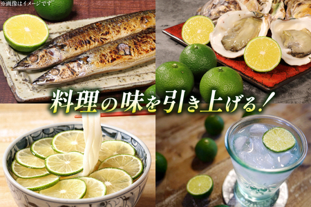【期間限定発送】 訳あり  採れたてへべす 5kg