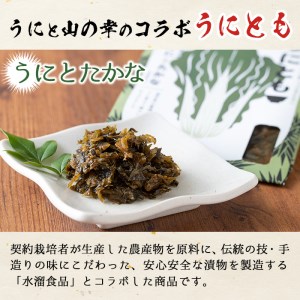 ＜鹿児島県産うに使用＞ご飯のお供「うにとも」うにとたかな(50g×4袋)国産 ウニ 雲丹 高菜 おかず 惣菜 常温【尾塚水産】akn004-07