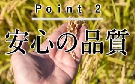 【3ヶ月定期便】  ひとめぼれ  白米  5㎏ 【1224】