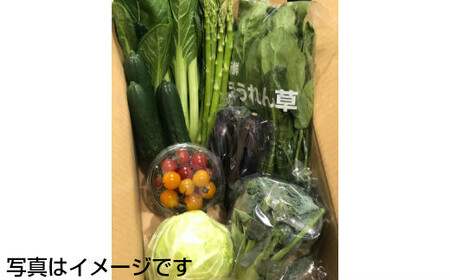  【定期便３ヶ月】イーハトーヴ野菜B 満足セット 9品～ 詰め合わせ【1204】