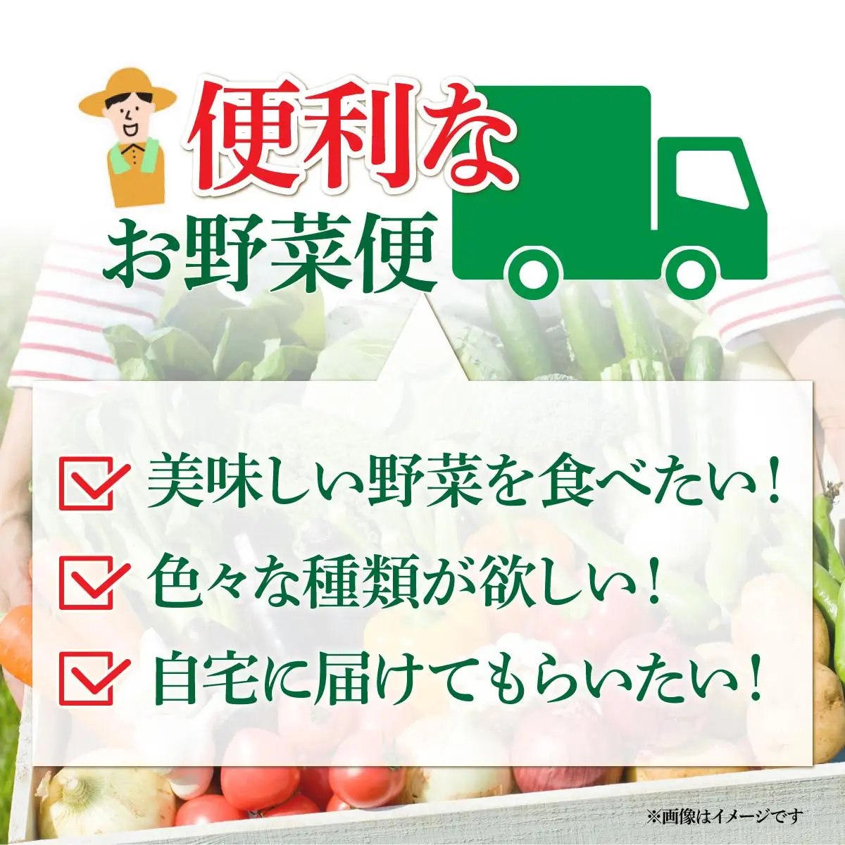 【2026年発送】 先行予約 新鮮採れたて！旬の伊達野菜セット（6～8種）【オンライン決済限定】55250703