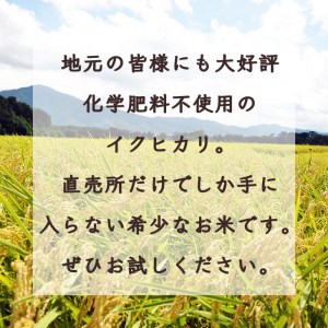 【数量限定】訳あり＜ワイワイ・ファーム＞京都府亀岡産いくひかり 5kg×2袋 計10kg≪京都 丹波 産地 農家 直送 ご飯 お弁当 令和4年産 米≫
