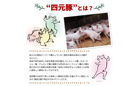 【定期便6ヶ月】GIFTON  岩手県産 四元豚  熟成 ベーコンブロック  150g×3 【1232】