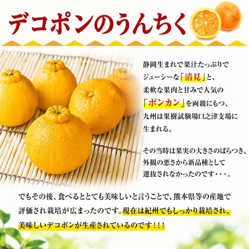 デコ不知火（デコポン） 約2.8kg/サイズおまかせ　※2027年2月上旬～4月上旬頃に順次発送予定(お届け日指定不可)　紀伊国屋文左衛門本舗　【sutb421C】