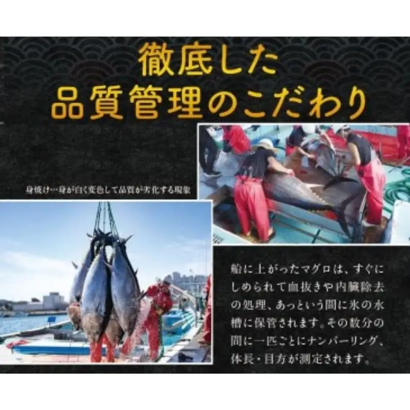本マグロ（養殖）トロ＆赤身セット 3kg 【年内発送（12/26～12/29発送）】高級 クロマグロ  中トロ 中とろ  まぐろ マグロ 鮪 刺身 赤身 柵 じゃばらまぐろ 本マグロ 本鮪 【nks112-sg】