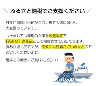 【訳あり】南紀本マグロ 希少部位三点セット約600g 本鮪 本まぐろ 鮪 マグロ まぐろ 訳アリ【nks201】