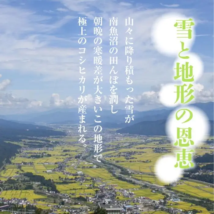 【令和8年産　新米予約】「無地のし」  新潟県 南魚沼産 コシヒカリ お米 5kg×2袋 計10kg 精米済み（お米の美味しい炊き方ガイド付き） お米 こめ 白米 こしひかり 食品 人気 おすすめ 送料無料 魚沼 南魚沼 南魚沼市 新潟県産 新潟県 精米 産直 産地直送 お取り寄せ【2026年10月中旬より1ヶ月以内に順次発送予定】