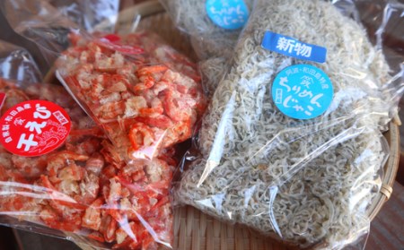 ちりめん 100g × 2袋 干し エビ 100g × 2袋 セット 自家製 海の幸 グルメ ギフト 詰め合わせ 小分け ※北海道・沖縄・離島への配送不可