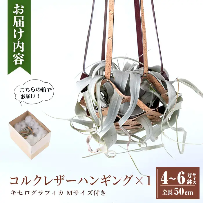 観葉植物 コルクレザー ハンギング (植物セット) 観葉植物 プラントハンガー 吊り下げ 【kurk PLANT LEATHER】 i617