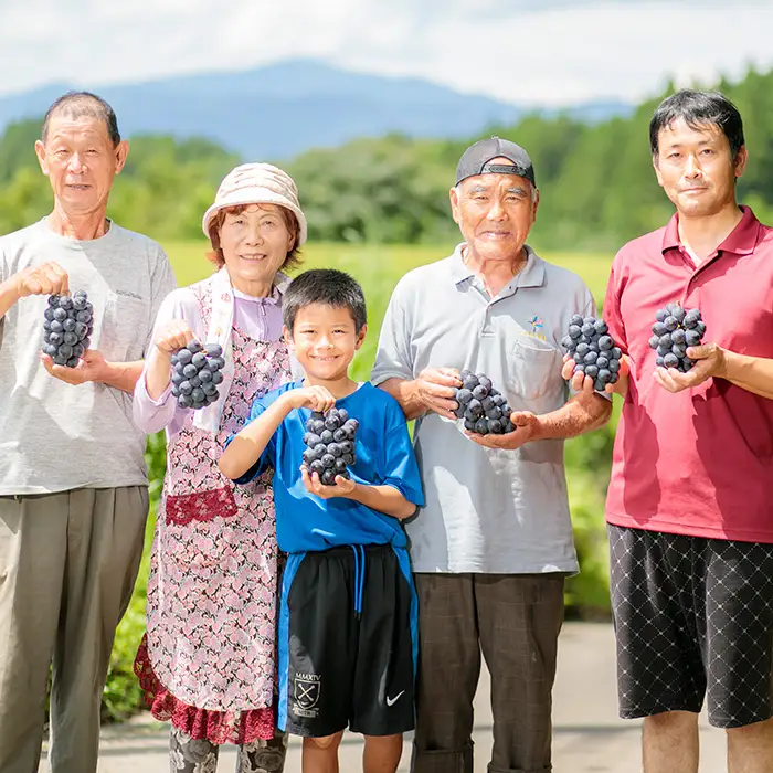 【数量限定・先行受付】久保ぶどう園の大粒シャインマスカット約2kg (3～4房) 果汁たっぷりの美味しい種なし葡萄 TF0394-P00005