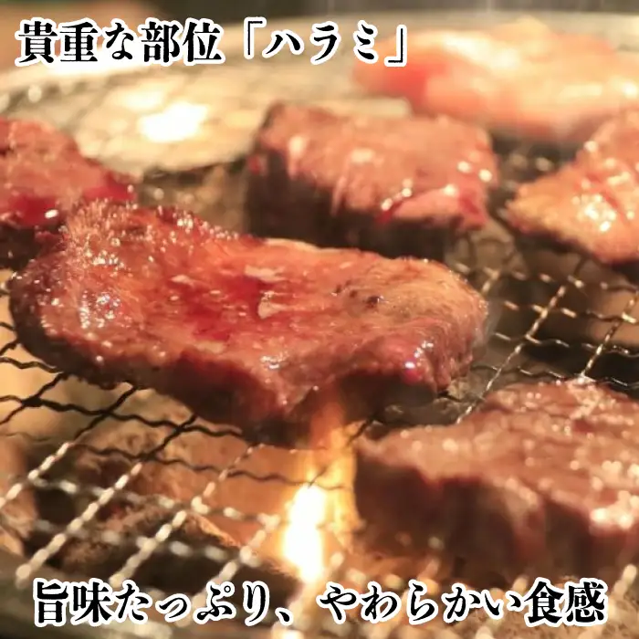 【A-353】宝牧場 近江牛 ハラミ焼肉用 500ｇ［高島屋選定品］