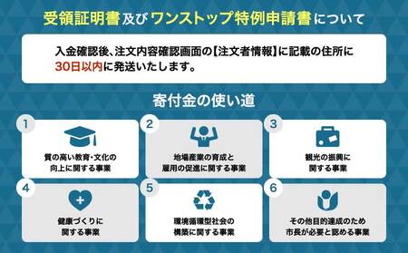 黒豆茶  300包(100包×3袋)   国産黒豆茶 ティーバッグ黒豆茶 黒豆茶 健康黒豆茶 焙煎黒豆茶 