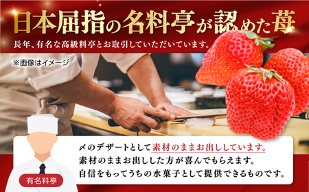 【先行予約】 煌稀の果実  特大 苺 約600g (9または12粒)  高知市春野町産 〈2027年1月中旬～2027年3月中旬頃発送〉 /  いちご イチゴ 果物 フルーツ 【森強のいちご農園】 [ATAS002]