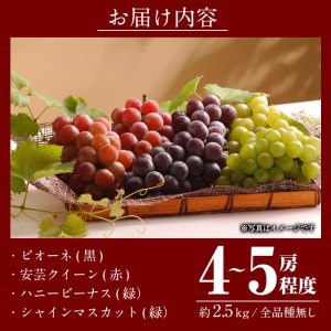 ＜先行予約受付中！2026年9月以降順次発送予定＞宇目葡萄 3種詰め合わせ＋シャインマスカット入り(合計2.5kg・4～5房) ピオーネ 安芸クイーン ハニービーナス ぶどう 種なし 大分県 佐伯市【AY72】【さいき農林公社】