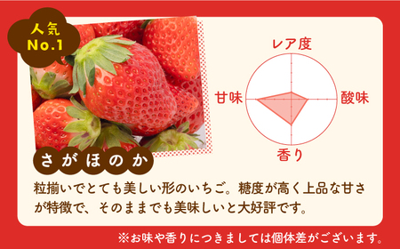 【先行予約 2027年1月〜発送】【3回定期便】いちご 3品種食べ比べ いちご