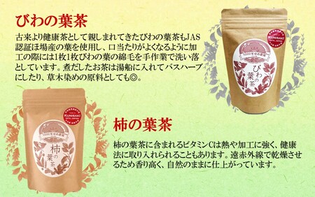 国東産 4種のノンカフェイン健康茶飲み比べセット(箱入り) 桑の葉茶・桑の葉玄米茶・びわの葉茶×2・柿の葉茶×2 計6袋・60包_1986R